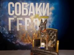 Бельгийская овчарка Спарки: собака-герой Украины, вернувшая из небытия 200 погибших