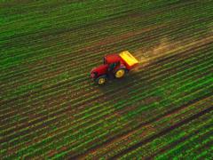 ФАО нашла способ поддержать украинцев в селах