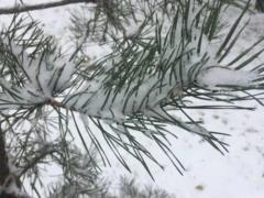 Ночью синоптики прогнозируют до 18 градусов мороза - прогноз погоды на 11 января