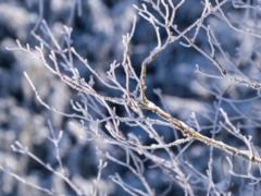 В Украине 13 января ожидаются серьезные морозы, в некоторых областях до -20