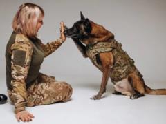 Кинологиня, которая создала первый в Украине бронежилет для собак: Хотела защитить свою собаку