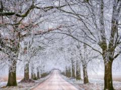 Когда будет потепление: синоптик дала прогноз