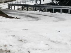 Чем лучше посыпать дорожки в гололед: соль и песок не подходят