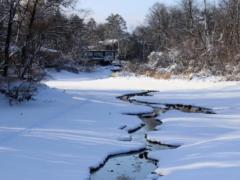 В Украину идет оттепель - в выходные прогнозируют мокрый снег и сильный ветер
