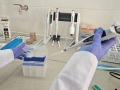 В Украине открыли первую лабораторию полярной биологии