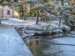 Погода на 28 января: в Украину идет потепление до +6 градусов, но в перспективе снова арктический холод