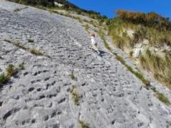 Возрастом 80 миллионов лет: скалолазы в Италии случайно нашли следы  давки  черепах