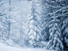 3 февраля в Украине прогнозируют до 28 градусов мороза и сильный гололед