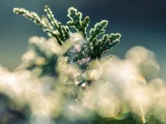 Погода на 5 февраля – в Украину идет потепление, но не надолго