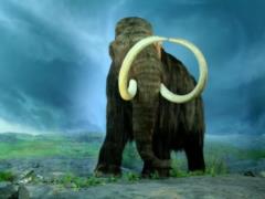 Переписывают историю заселения Северной Америки: на Аляске нашли орудия из бивня мамонта