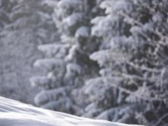 Волынь накрыл сильный снегопад, в Луцке с ночи расчищают дороги