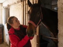 Владелец конного клуба во Львове: Наши лошади должны были «пойти на колбасу», а теперь катают детей