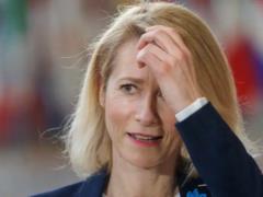 Высокая представительница ЕС прокомментировала заявление Уиткоффа о возможной встрече Зеленского и Путина