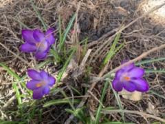 1 марта в Украину придет весна – в течение дня ожидается +10+13 градусов