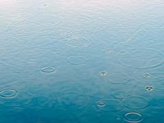 Погода в Украине 3 марта – циклон Doreena принесет дождь и мокрый снег в некоторые регионы