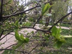 В выходные в Украине будет царить антициклон - будет тепло, сухо и без ветра