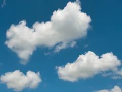 В Украине 8 марта будет тепло, в некоторых областях - до +15