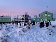 Полярники показали уникальные кадры первой украинской ротации на  Вернадском  в 1997 году