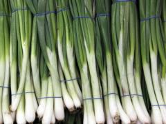 Крапива для гемоглобина, черемша для иммунитета: чем полезна первая весенняя зелень