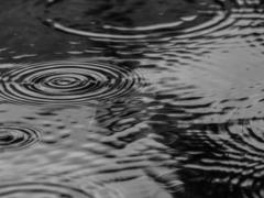 Погода в Украине 19 марта - будет холодно и сыро, возможен дождь и мокрый снег