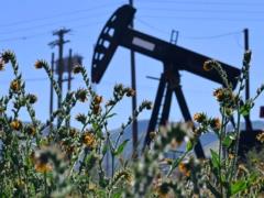 Дефицит продуктов питания и отказ от автомобилей: чем обернется топливный кризис