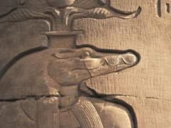 Тайна мумии крокодила из Лавры: кто и зачем заколол священное животное кинжалом