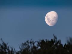 В начале апреля украинцы смогут увидеть  Розовую Луну 