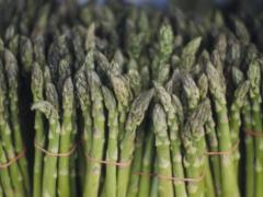 500 гривен за пучок: почему спаржа держится в тренде и как ее выращивают фермеры