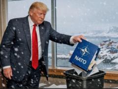 Трамп сьогодні обговорить із главою Альянсу вихід США з НАТО, – Білий дім