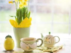 Какая будет погода на Пасху - везде дождь и до +11 градусов тепла