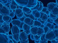 После «перезапуска» иммунной системы: женщина вылечилась от трех аутоиммунных заболеваний