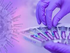 Новый штамм COVID-19  Цикада  обнаружен в 23 странах - что о нем известно