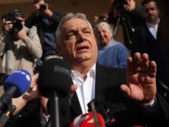 Как Путин потерял свою венгерскую «мышь»: что означает поражение Орбана для Украины и Европы