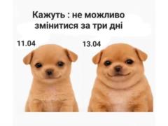 Анекдоты и мемы недели: сезон «Худеем к лету» - официально открыт