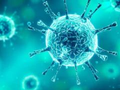 В Украине зафиксирован первый случай субварианта COVID-19 «Цикада»