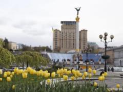 В Киеве началось цветение тюльпанов, подаренных Нидерландами