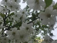 23 апреля в Украине изменится погода - прогнозируют сильный ветер, дожди и похолодание