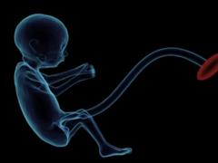 В Днепре суд вернул вдове эмбрионы, которые отсудили родители погибшего мужа