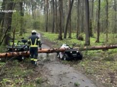 Из-за непогоды в Украине уже погибли два человека