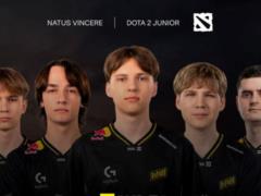 Инкубатор NAVI отказывается от молодняка