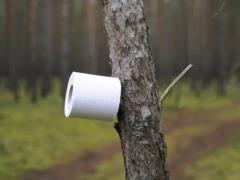 Жизнь без туалетной бумаги и колбасы: 5 странных трендов, которые захватывают мир