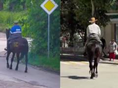 Крим без бензину: місцеві пересіли на коней, туристи опинились в заручниках, а ППО не працює (відео)
