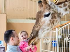 Николай Степанович и другие звери: как живет парк счастливых животных