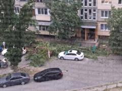 Киев и область наркрыла непогода - начались перебои со светом, ветер сносит конструкции