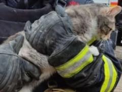Ночевала с котами на скамейке, - РФ разрушила квартиру львовянки, которая занимается животными, женщине негде жить