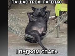 Анекдоты и мемы недели: укрытие бронируем заранее и российская ракета в Польше