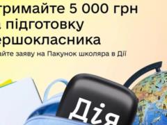 В  Дії  возобновили прием заявок на  Пакет школьника  - инструкция для родителей
