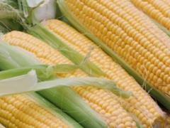 Сезон кукурузы: 5 сезонных рецептов, которые стоит попробовать