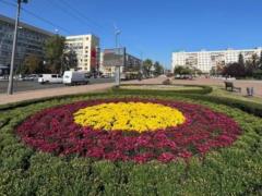 Киев украсили тысячами хризантем – в столице стартовал сезон цветов