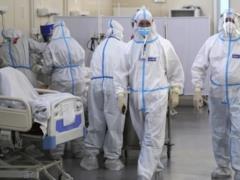 Монголия обратилась в Россию из-за чумы, там ответили, что болезнь не подтвердилась